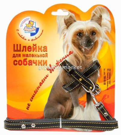 Комплект кожан. д-щенков и мелких пород собак(поводок 12мм + шлейка 14мм со стразами) на блстере