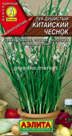 Лук Душистый Китайский чеснок 0,3гр.(Аэлита)