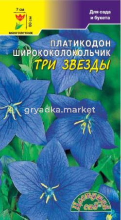 Платикодон Три звезды Цвет сад