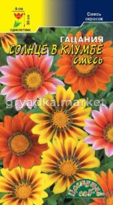 Гацания Солнце в клумбе, смесь Цвет.Сад