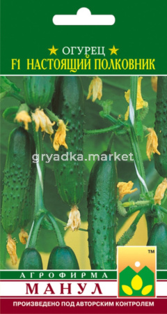 Огурец Настоящий полковник F1,Парт,урож. Манул