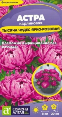 Астра Тысяча чудес карликовая Ярко-розовая 0,15г Одн 20см (Сем Алт)