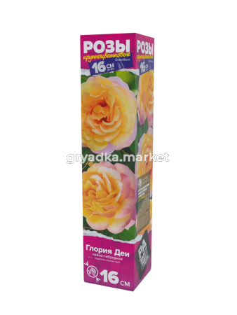 глория деи-Photoroom