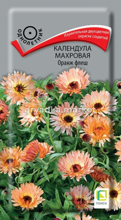 Календула Оранж флеш махровая 0,1г Одн 70см (Поиск)