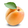 абрикос