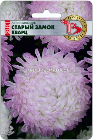 Астра Старый замок селект Кварц китайская 40шт Одн 70см (Биотехника)