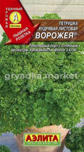Петрушка Ворожея кудрявая Аэлита (листья гофрированные)