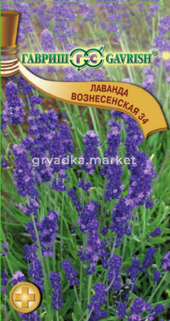 Лаванда Вознесенская 34,узколист.0,05г Гавриш