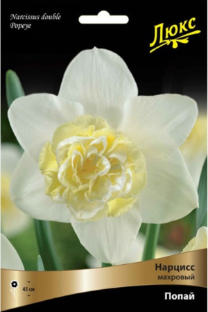 Нарцисс Махровый Попай 3шт ( белый с желто-белой коронкой, 12-14, h40см) Нарцисс Махровый Попай 3шт ( белый с желто-белой коронкой, 12-14, h40см)