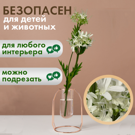 Иск.цветы Агапантус белый3 Иск.цветы Агапантус белый3