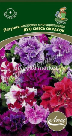Петуния Дуо Смесь окрасок, махр.мнгцвет 10шт.Поиск