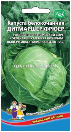Скриншот 17-08-2026 165420