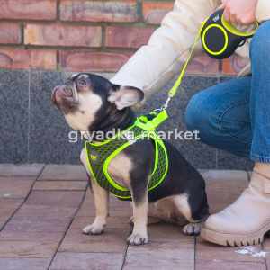 good-0a7d2907-7751-11f0-a5a8-b07b25e4d639