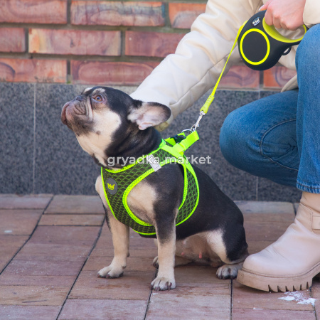 good-0a7d2907-7751-11f0-a5a8-b07b25e4d639