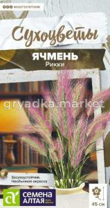 Ячмень гривастый Рикки 5шт Мн 45см (Сем.Алт)