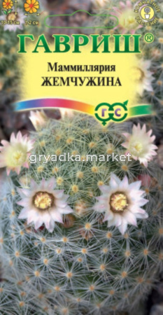 Маммиллярия  Жемчужина шейдвелардиана 2шт Комн (Гавриш) Н22