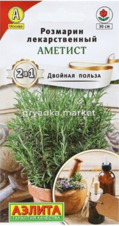 Розмарин Аметист 20шт (Аэлита)