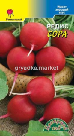 Редис Сора голландия Цвет.сад.