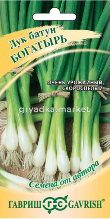 Лук батун Богатырь 0,5г Позд (Гавриш) Русский богатырь