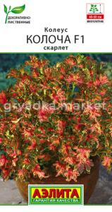 Колеус Колоча F1 скарлет 5шт Мн 35см (Аэлита)