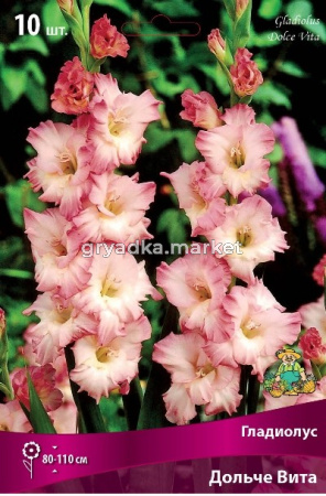 Скриншот 13-03-2025 103144