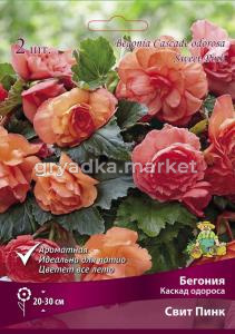 Бегония Каскад одороса Свит Пинк (1)