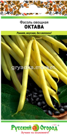 Цинния Мастер вишнево-розовая Аэлита