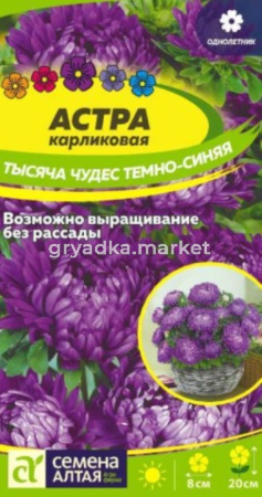 Астра Тысяча чудес карликовая Темно-синяя 0,15г Одн 20см (Сем Алт)