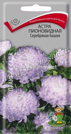 Астра пионовидная Серебряная башня (ЦВ) (