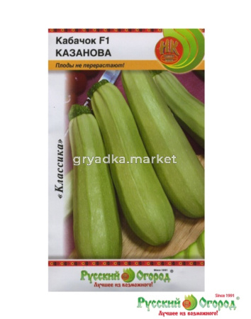 Кабачок Казанова F1 1гр. -ранн,цуккини- НК