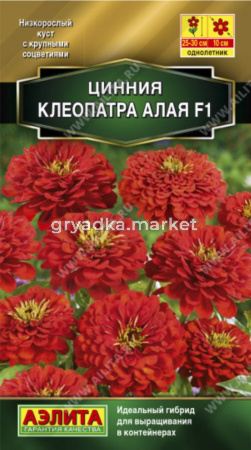 Цинния Клеопатра F1 алая (Аэлита)