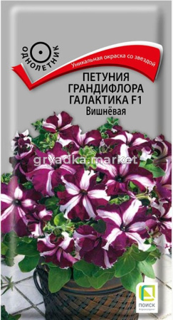 Петуния Галактика F1 Вишнёвая грандифлора 10шт Одн 50см (Поиск)