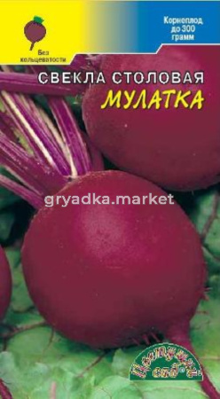 Свекла Мулатка (Цвет сад)