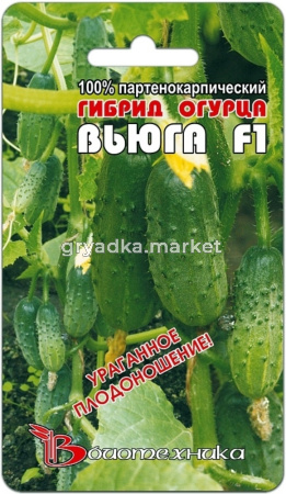 Огурец Вьюга F1-Парт.высокоурож. Биотех