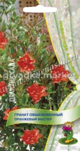 Гранат обыкновенный Оранжевый мастер (ЦВ) (