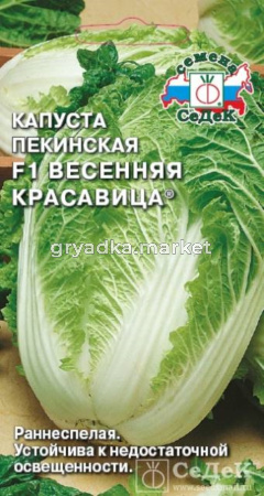 Капуста пекинская Весенняя красавица (Седек)