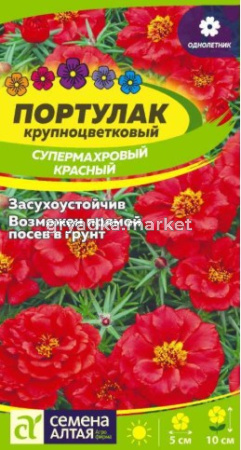 Скриншот 20-08-2026 133338