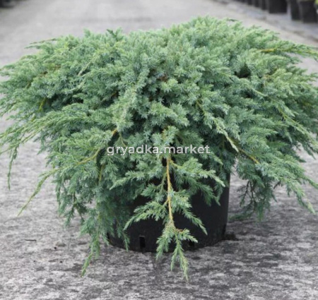 Скриншот 15-04-2026 152537