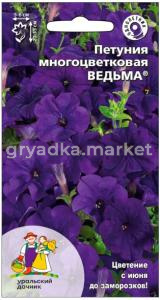 Скриншот 18-08-2026 094406