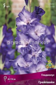 Гладиолус крупноцветковый Грейпвайн (фиолетовый со светлеющим белым центром, 5шт, 12-14)