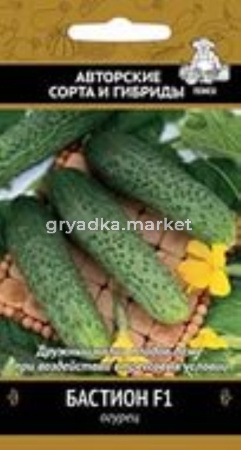 Огурец Бастион F1 12шт- партен, букетн.тип Поиск