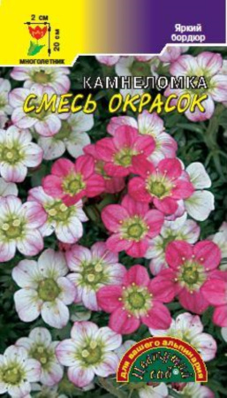 Камнеломка Смесь окрасов Цвет.сад. Камнеломка Смесь окрасов Цвет.сад.