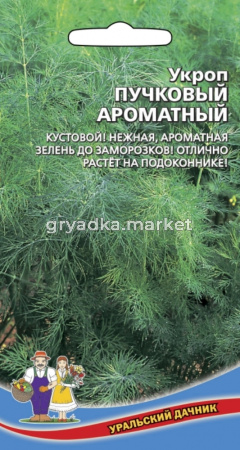 Укроп Пучковый Ароматный (УД) Новинка!!!