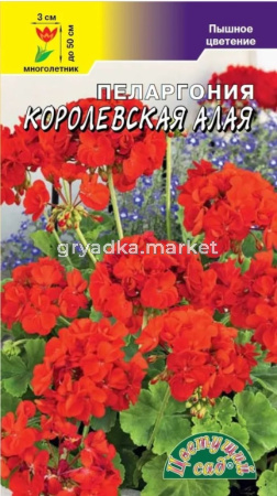 Пеларгония Королевская Алая зональная 0.02г Мн смесь 50см (Цвет сад)