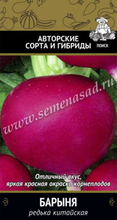Редька китайская (Лобо) Барыня 2г (Поиск)