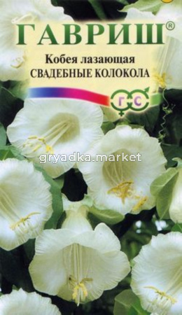 Кобея Лазающая Свадебные колокола 5шт. Гавриш