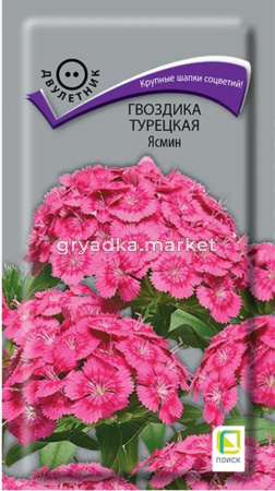 Гвоздика турецкая Ясмин 0,3г Дв 50см (Поиск)