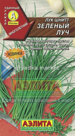 Лук Шнитт Зеленый луч (Аэлита)