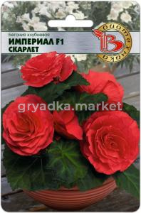 Бегония клубневая Империал Скарлет F1 10шт (Биотехника)