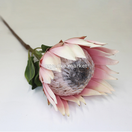 Искусственные цветы Протея